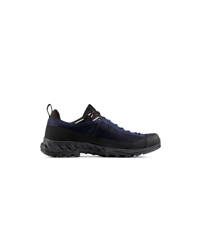 Mammut Alnasca IV Low GTX Men