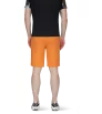 Mammut Aenergy Light So Shorts SS2024