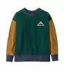 Patagonia Kid's Crew Sweatshirt