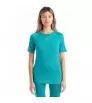 Мерино Блуза Icebreaker W's 125 ZoneKnit Merino Short Sleeve Crewe Top Winter 2024